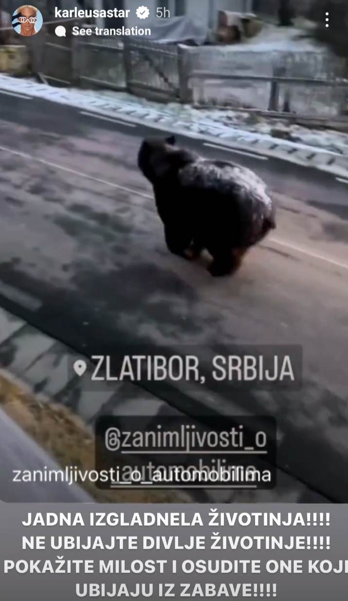 FOTO: PRINTSCREEN / INSTAGRAM /JELENA KARLEUŠA