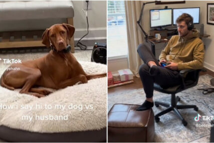 Hit video na TikToku: Žena pokazala kako pozdravlja psa, a kako muža kada dođe kući