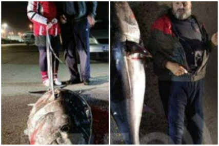 Nakon pet sati borbe u Baru: Dvometraš ulovio ribu veću od sebe