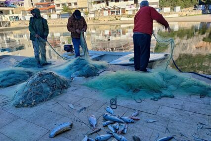 Jutro s neumskim ribarima: "Svaka riba ima svoga kupca"
