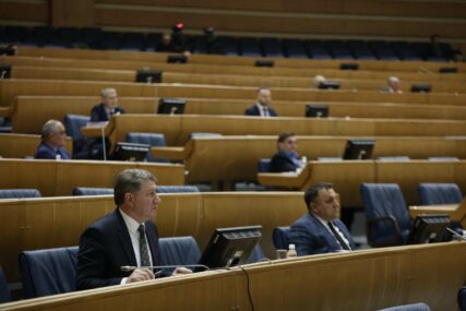 Delegati spremni za ukidanje akciza, Borenović podsjetio da je na posljednjem glasanju to spriječio SNSD