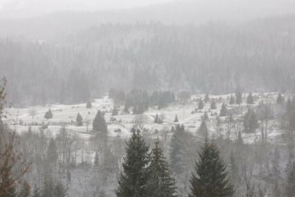 Brojni kvarovi na elektro-mreži zbog snijega u BiH, pojedina naselja i dalje bez struje