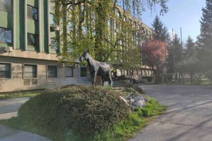 Studenti Veterinarskog fakulteta u Sarajevu zaraženi Q groznicom: Obustavljena nastava