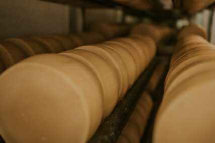 Milione dajemo na uvozni sir, isti se može proizvoditi i u BiH!