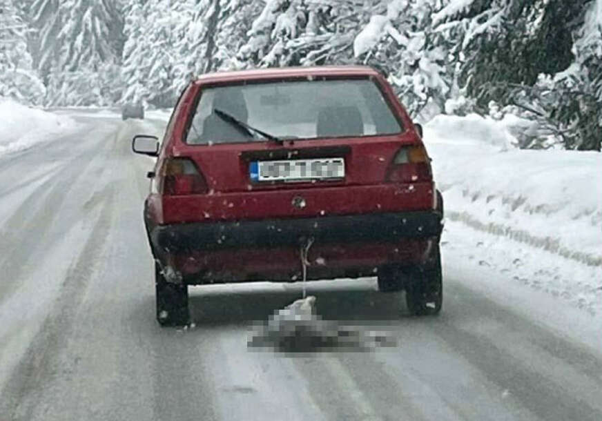 FOTO: FACEBOOK / NENAD NOVAKOVIĆ