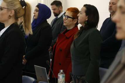 Melank (NS) htjela odgovoriti Deviću (SDA) pa u po' sjednice konsultovala AI za "sinonime"