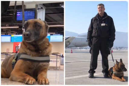 Pas koji radi za Graničnu policiju BiH zove se ‘Uštipak’: Nakon 10 godina državne službe ide u penziju