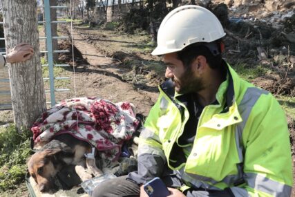 Dirljivi prizori: Volonteri spasili psa iz ruševine 55 sati nakon zemljotresa u Turskoj