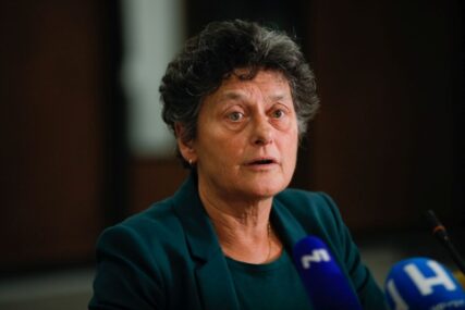Evropska parlamentarka: Potrebno je da EU pruži aktivniju podršku BiH