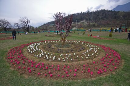 Pogledajte najveći vrt tulipana u Aziji sa više od 1,5 miliona cvjetova raznih boja i nijansi (FOTO)