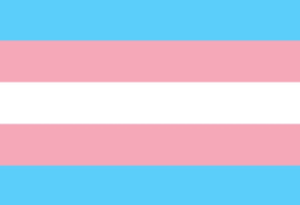 Međunarodni dan vidljivosti transrodnih osoba