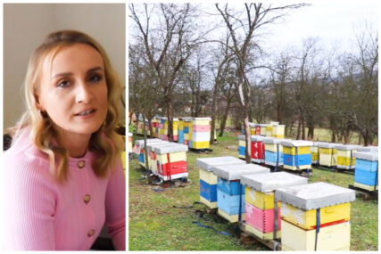 Lijepa priča iz Tešnja: Alma nastavlja tradiciju pčelarstva dugu 40 godina i ne želi otići iz BiH