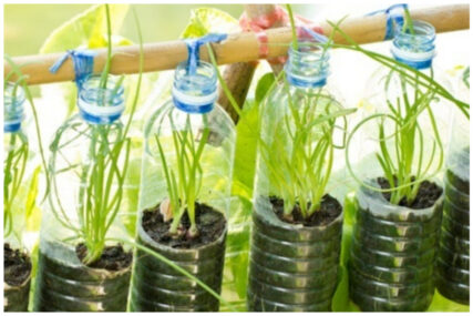 Nekoliko praktičnih ideja za upotrebu plastičnih boca u vrtu
