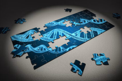 Hrvatski naučnici otkrili supersimetriju genetskog koda: "To je tajna genetike"