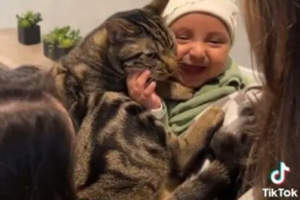 Prvi susret mačića s bebom izmamiće vam osmijeh (VIDEO)