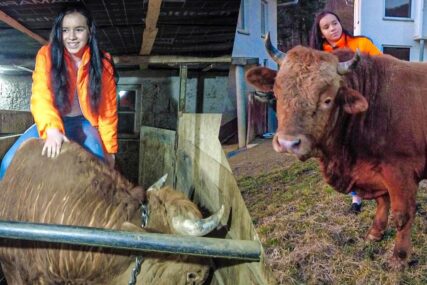 Emina ima samo 16 godina, trenira životinje teže od jedne tone (VIDEO)