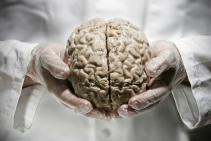 Najveća zbirka ljudskih mozgova nalazi se u Danskoj. Evo za šta služi...