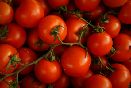 Pada izvoz paradajza iz EU - koliko svježe pojedemo po osobi?