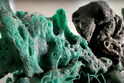 Brazilski naučnici na udaljenom otoku pronašli plastificirane stijene (VIDEO)