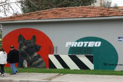 Uginuli pas spasilac Proteo naslikan na zidu zgrade u Izmiru
