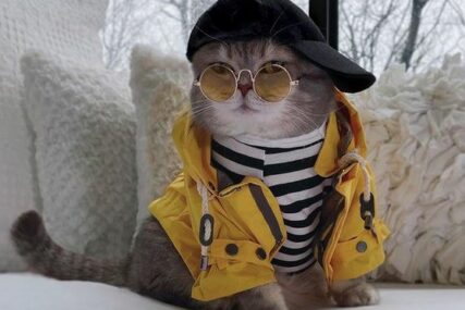 Kako je napušteno mače postalo Instagram zvijezda: Upoznajte mačka Bensona (FOTO)