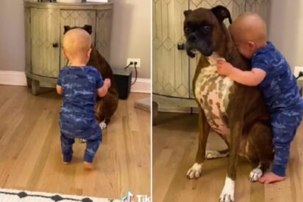 Dječak napravio prve korake samo kako bi zagrlio svog psa 