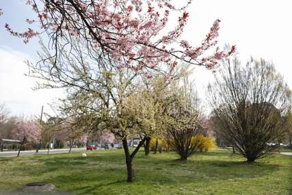 Meteorolozi najavili kakvo nas vrijeme očekuje do subote