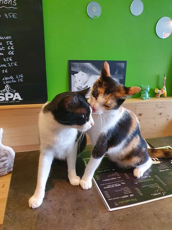 FOTO: TRIPADVISOR