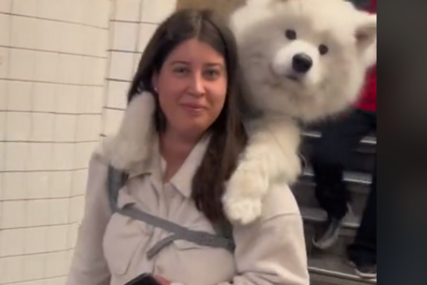 Žena svakog dana u ruksaku nosi svog psa od 23 kilograma