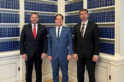 Čavara i Kovačević razgovarali sa zamjenicima predsjedatelja Parlamenta Švedske