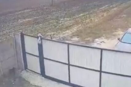 Muškarac bacio psa preko ograde azila i ostavio pismo