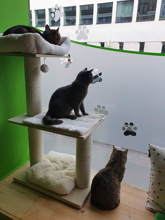 FOTO: TRIPADVISOR