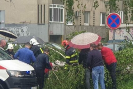 Drvo palo na ženu u Tuzli, prevezena u bolnicu