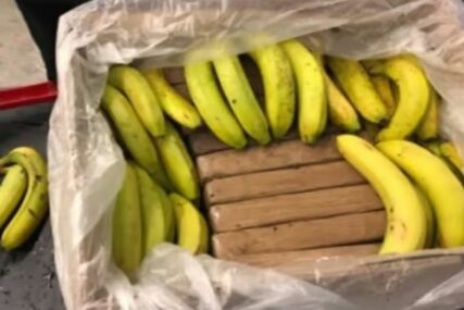 Pronašli 4,2 tone kokaina u pošiljci banana