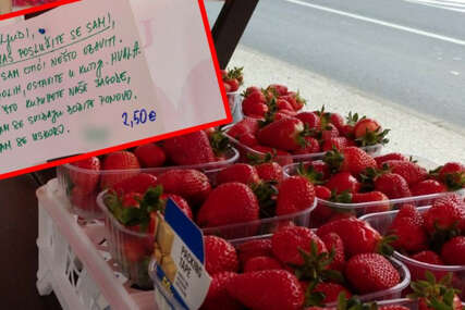 Prodavačica jagoda ostavila štand, 15 eura i poruku: Nisam ni sumnjala da će se ovo dogoditi