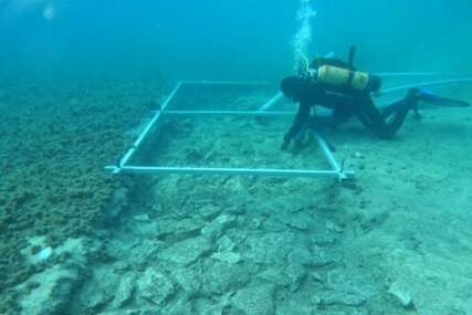 Na Korčuli ispod mora pronađen put star 7.000 godina