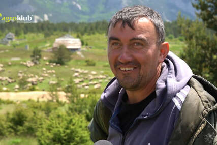 Na Blidinju čuva 800 ovaca: Dolaze turisti iz cijelog svijeta, ali pastir Perko ne može da nađe ženu