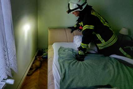 Vatrogasci dobili dojavu o "uljezu" u kući, pa ostali iznenađeni onim što su tamo zatekli