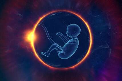 Revolucionaran napredak: Stvoreni sintetički ljudski embrioni