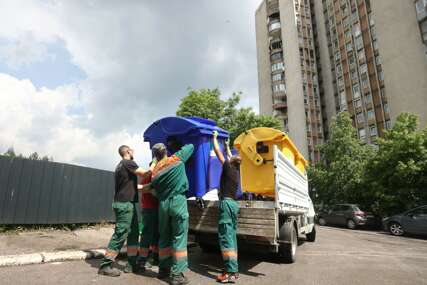 Sarajevski komunalci objavili šta uraditi ukoliko uočite uginulu životinju ili njene ostatke