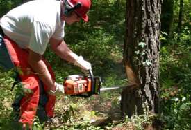 Radnik iz BiH poginuo u Austriji nakon što je na njega palo drvo