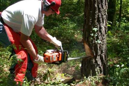 Radnik iz BiH poginuo u Austriji nakon što je na njega palo drvo