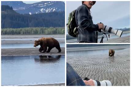 Medvjed jurio prema turistima, pogledajte šta je učinio hrabri vodič