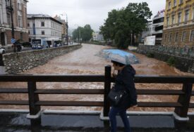 BBC piše o epidemiji leptospiroze: U Sarajevu je ponovno "Godina štakora"