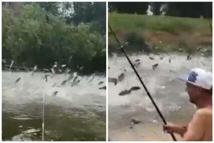 Ovakvi prizori začudili su mnoge, šta se dešava s ribama?  Neobična pojava na Tisi (VIDEO)