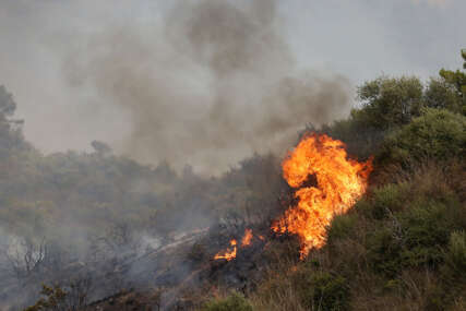 Desetine smrtno stradalih u šumskim požarima u Alžiru