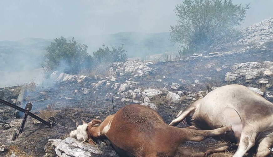 FOTO: VATROGASNO SPASILAČKA JEDINICA GACK