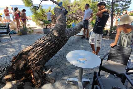 Srušilo se stablo na plaži u Baškoj Vodi, četvero lakše povrijeđenih