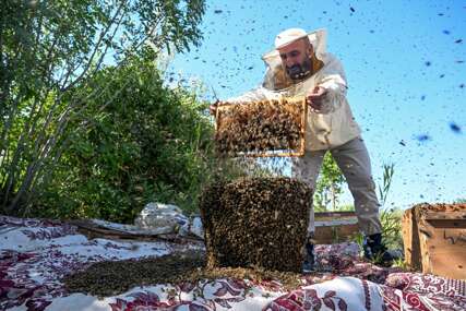 Juri Guinnessa: Turski pčelar se želi prekriti sa 65 kilograma pčela (FOTO)