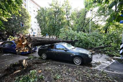 Jako nevrijeme pogodilo Milano, stabla pala na parkirane automobile (FOTO)